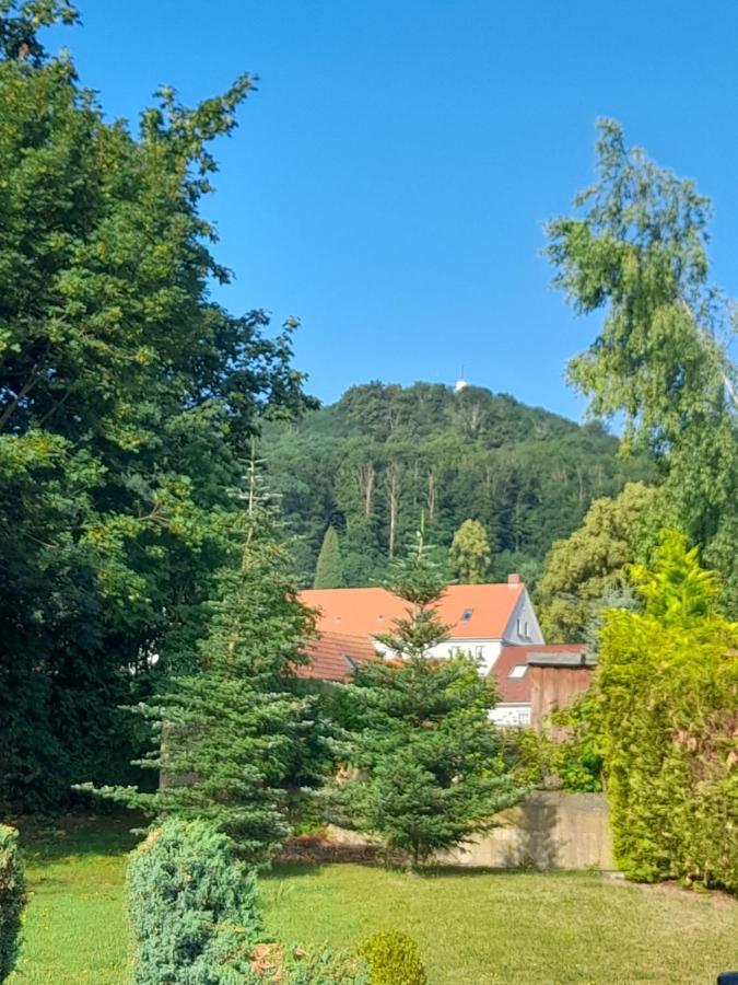 Burghof Ferienwohnungen Goerlitz المظهر الخارجي الصورة